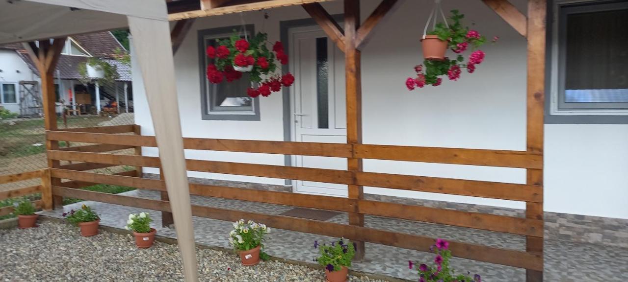 Casa Claudiu Villa Ieşelniţa Dış mekan fotoğraf