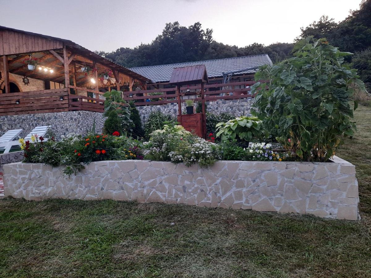 Casa Claudiu Villa Ieşelniţa Dış mekan fotoğraf